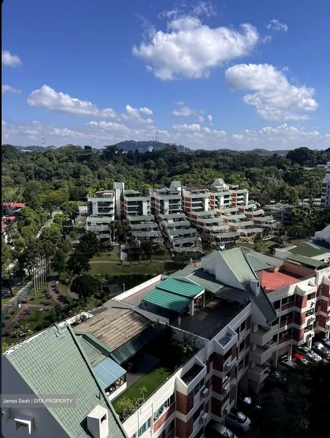 Pandan Valley (D21), Condominium #563184811